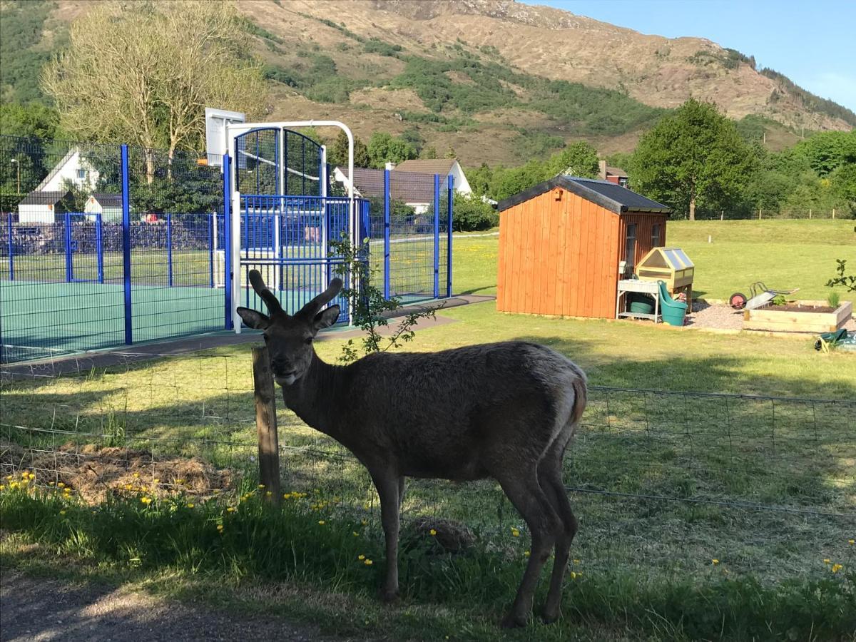 Bed and Breakfast The Woolly Rock North Ballachulish Exteriér fotografie